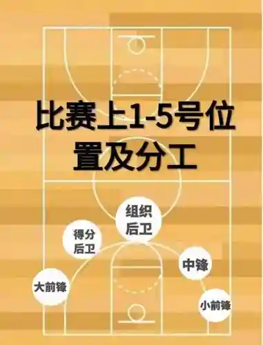 篮球最好的阵容搭配视频，篮球阵容及各个位置的作用附图片