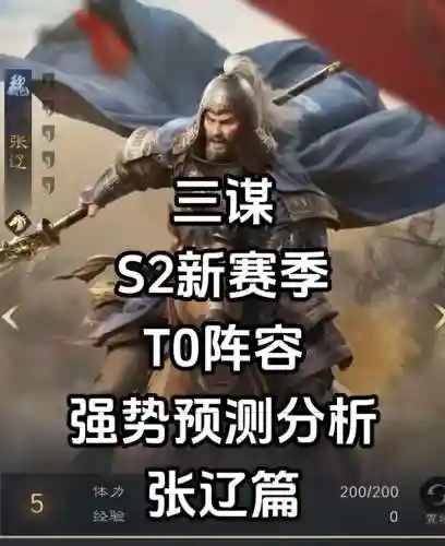 赵云张辽搭配阵容，赵云张辽搭配阵容怎么搭配插图