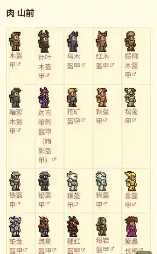 泰拉瑞亚装备前缀，泰拉瑞亚装备词条大全插图