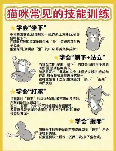 猫改技能选择，猫咪技能连招插图1