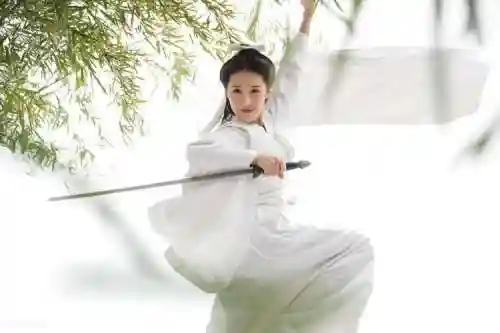 小龙女武器叫什么名字叫什么，小龙女武功定位插图