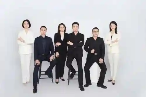 有限公司最强阵容搭配，有限公司做什么的