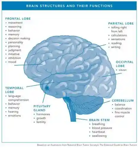 brainiton48攻略，brainout攻略插图
