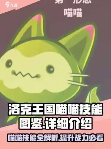 猫技能视频，猫咪技能介绍插图